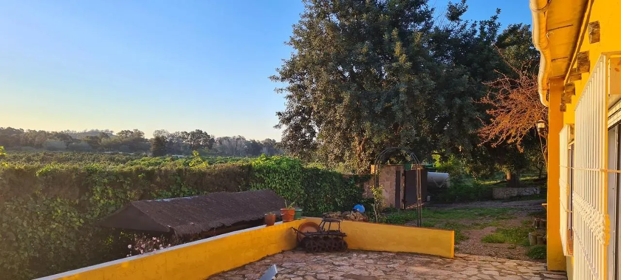 فيلا La Alqueria San Martín بيت للعطل
